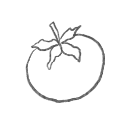 tomato illustration